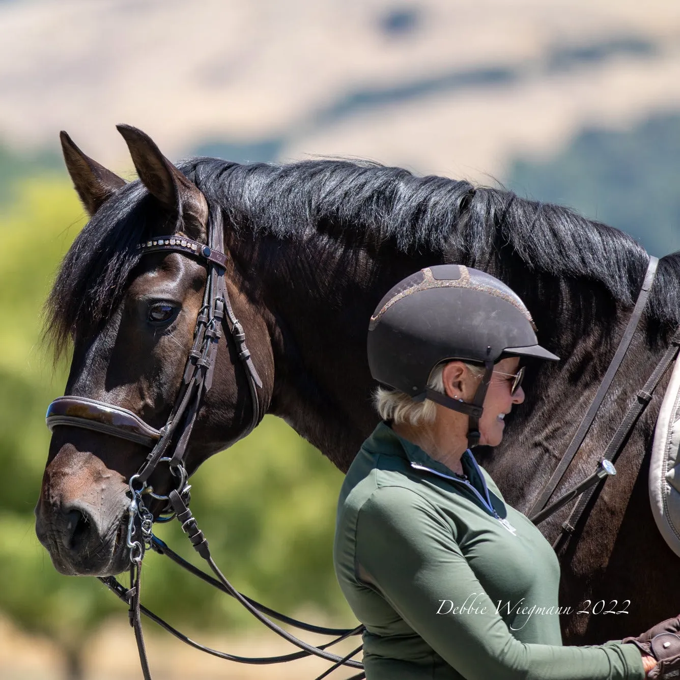 The Cleo - Brown Patent Rolled Leather Double Bridle