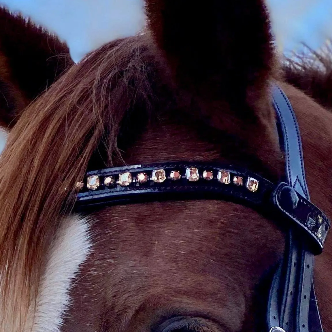 The Cleo - Brown Patent Rolled Leather Double Bridle