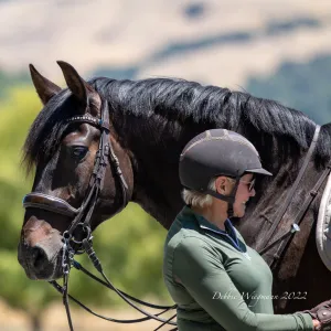 The Cleo - Brown Patent Rolled Leather Double Bridle